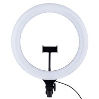 Кольцевая лампа MJ38 RGB для штатива, , с держателем для телефона, пультом, микрофоном (38 см) ― OnlineBazar.su